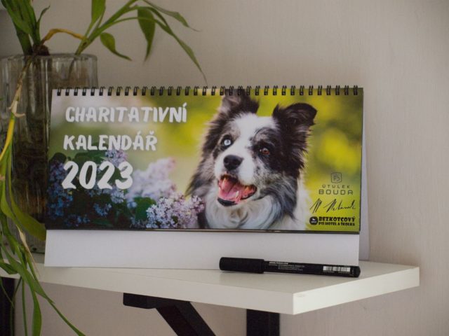 charitativni-kalendar-utulek-bouda-doghouse-rychvald-martin-urbanek